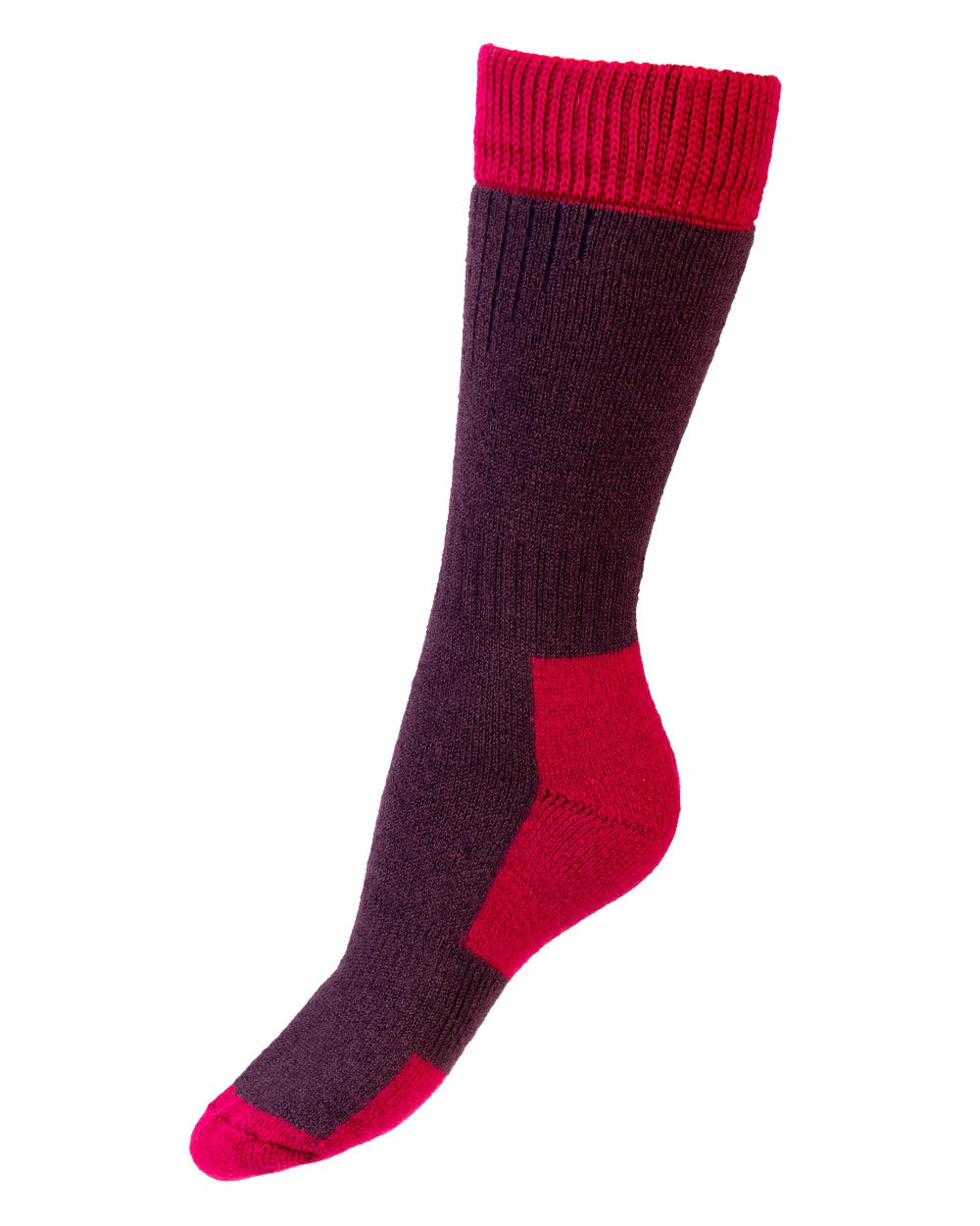 Thistle Fuchsia coloured House of Cheviot Lady Glen Socks on white background 