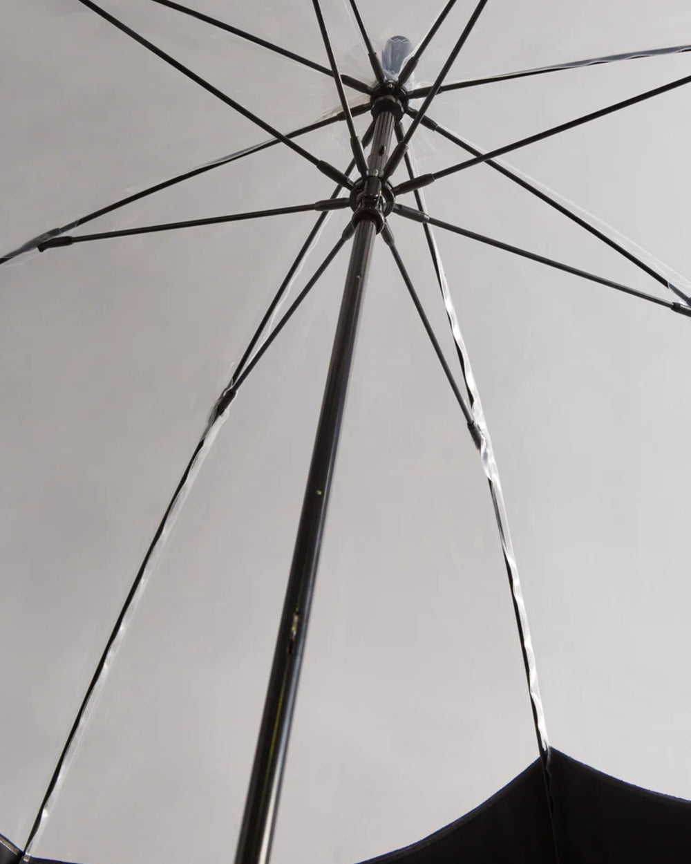 Black coloured Hunter Transparent Moustache Bubble Umbrella on white background 