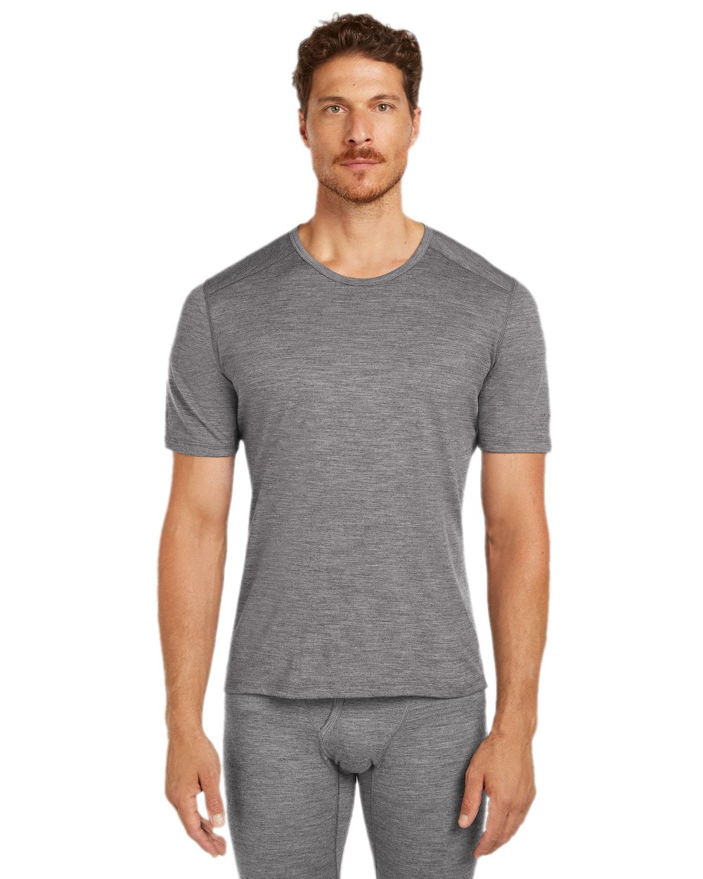 Gritstone Heather Coloured Icebreaker Mens Merino 200 Oasis Crew Short Sleeve Thermal Top on white background 