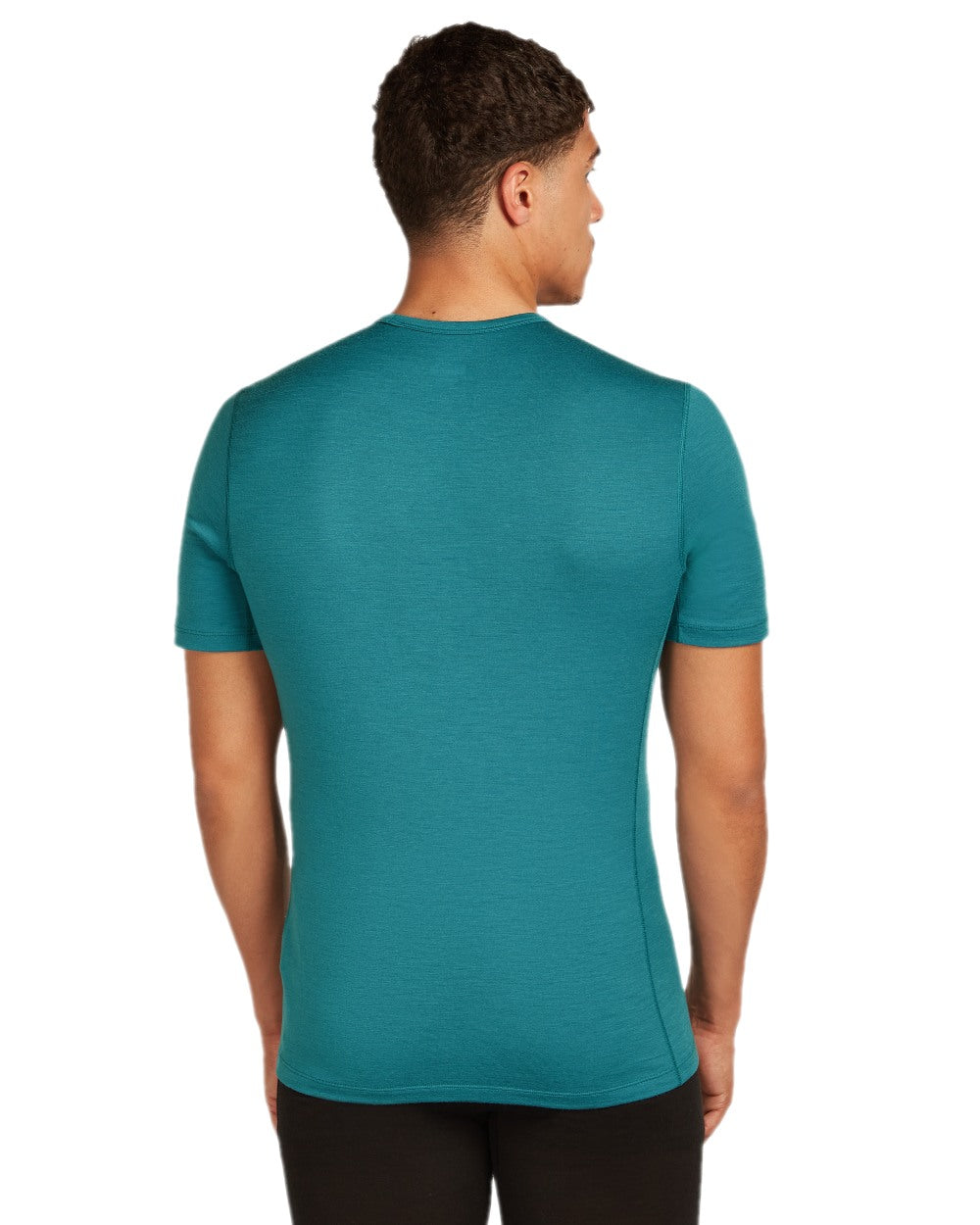 Topaz Coloured Icebreaker Mens Merino 200 Oasis Crew Short Sleeve Thermal Top on white background 