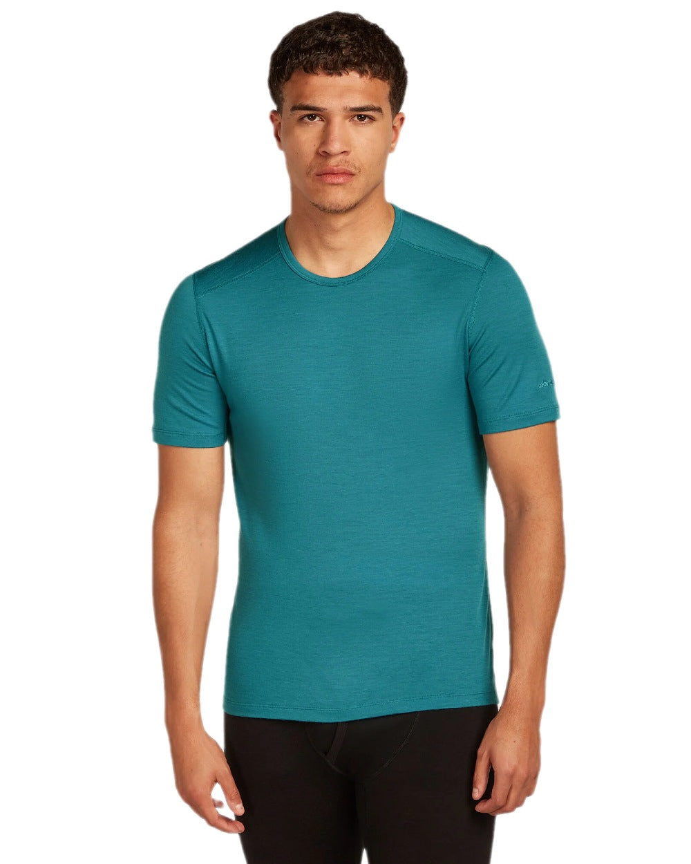 Topaz Coloured Icebreaker Mens Merino 200 Oasis Crew Short Sleeve Thermal Top on white background 