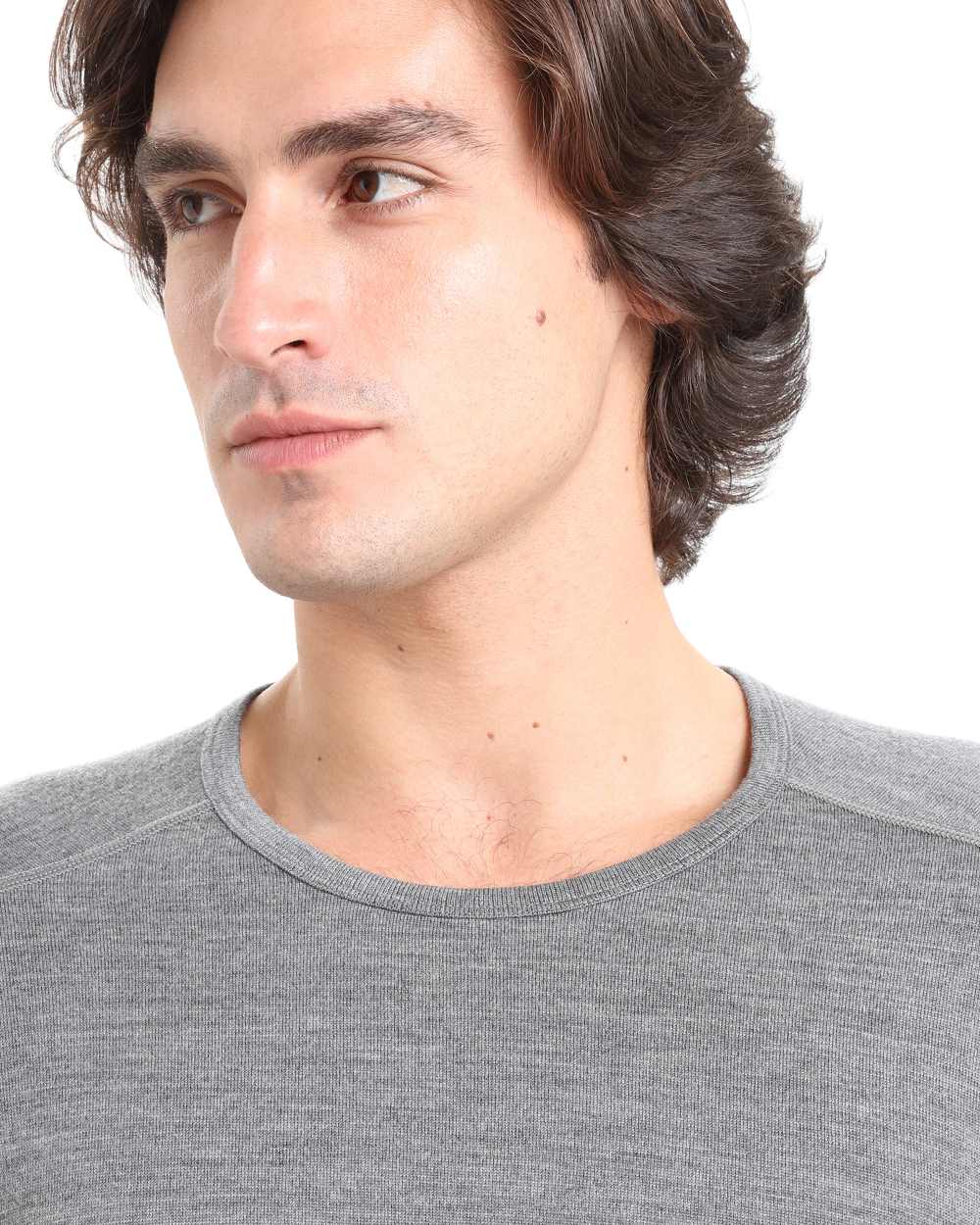 Gritstone Heather Coloured Icebreaker Mens Merino 260 Tech Crewe Thermal Top on white background 