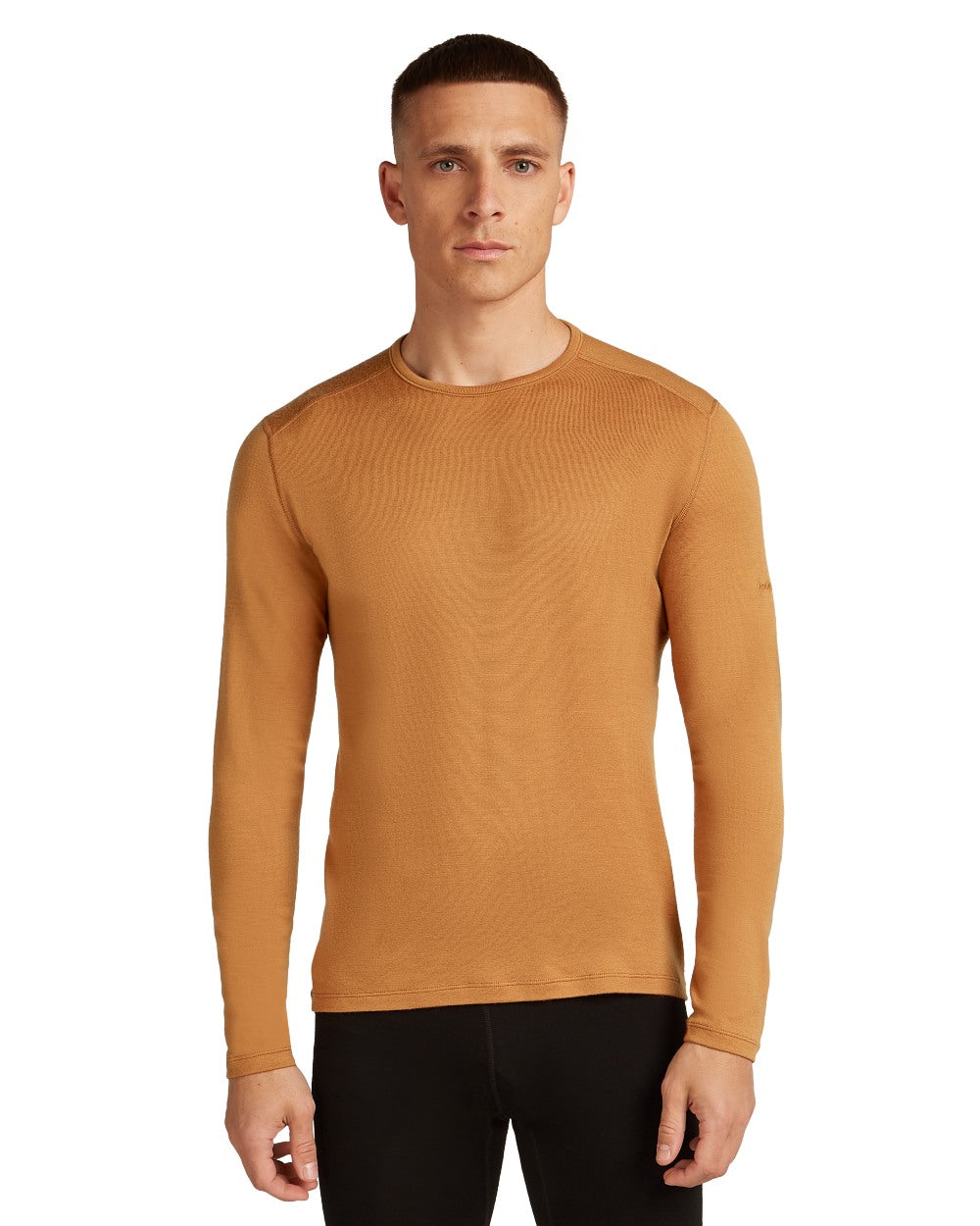 Trail Coloured Icebreaker Mens Merino 260 Tech Crewe Thermal Top on white background 