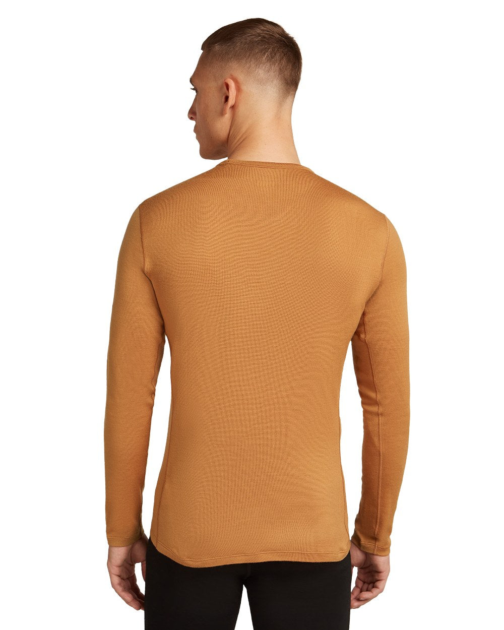 Trail Coloured Icebreaker Mens Merino 260 Tech Crewe Thermal Top on white background 