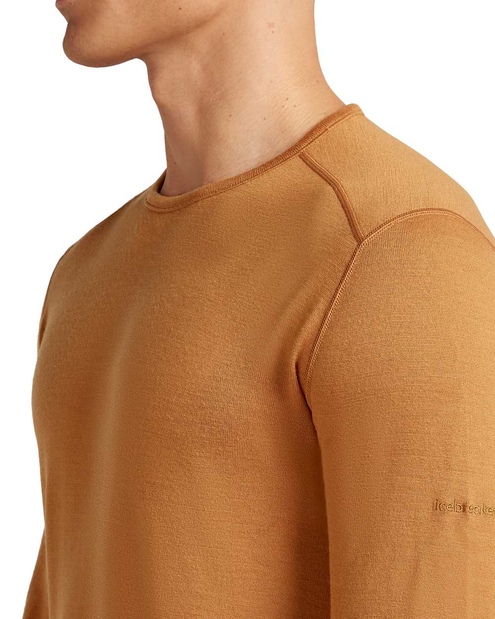 Trail Coloured Icebreaker Mens Merino 260 Tech Crewe Thermal Top on white background 