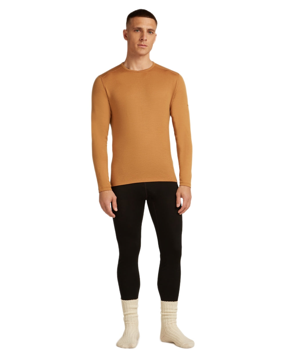 Trail Coloured Icebreaker Mens Merino 260 Tech Crewe Thermal Top on white background 