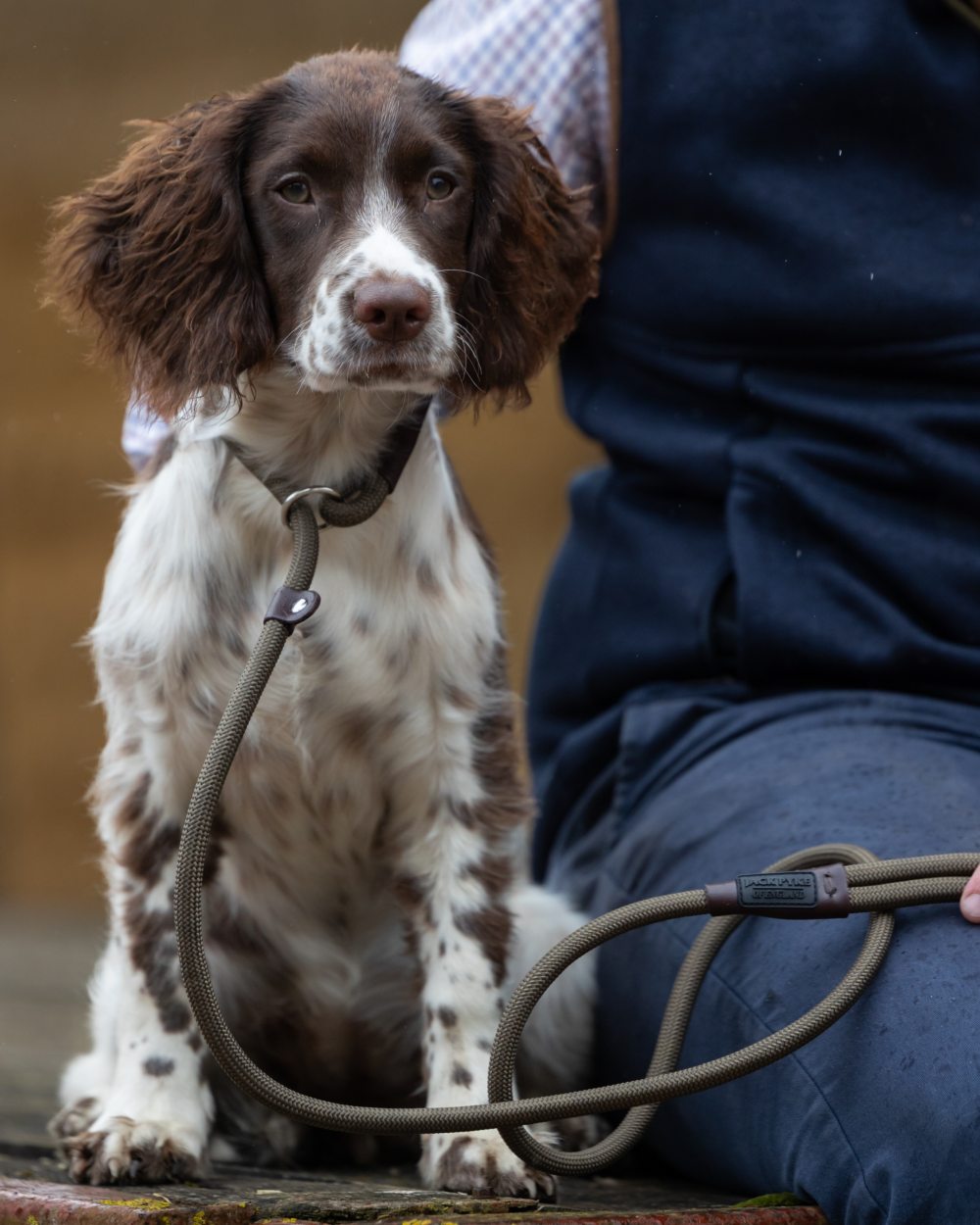 Olive coloured Jack Pyke Dog Slip Lead on outdoor background 