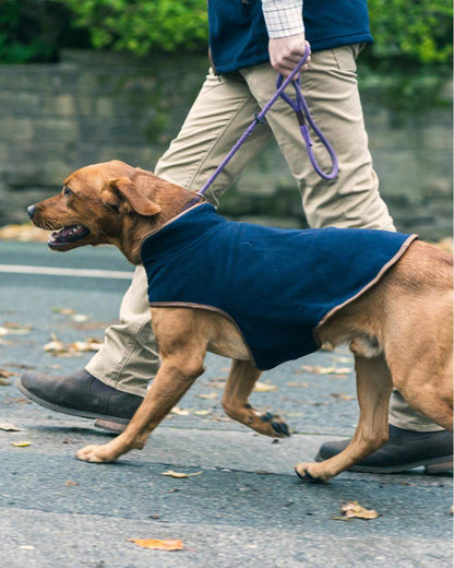 Navy coloured Fleece Dog Coat on street background 