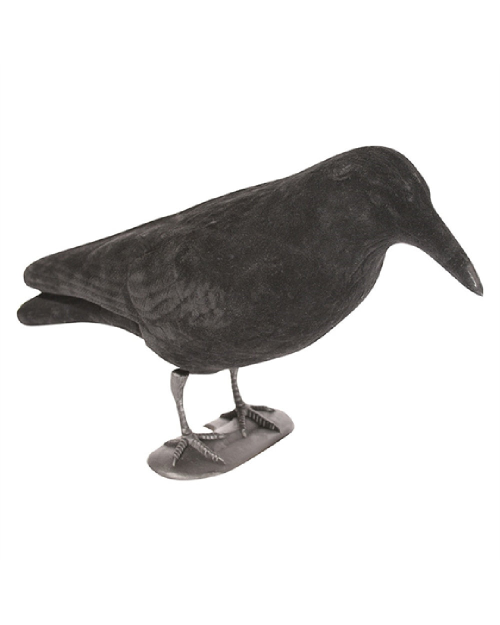 Jack Pyke Flocked Crow Full Body Decoy on white background