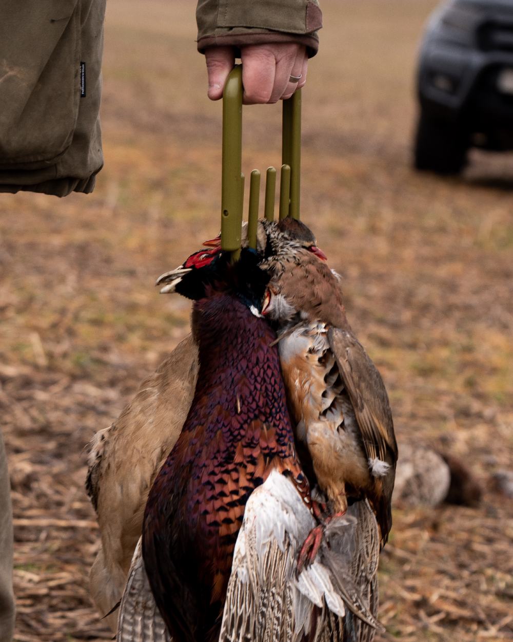 Jack Pyke Foldable Game Carrier on forest background