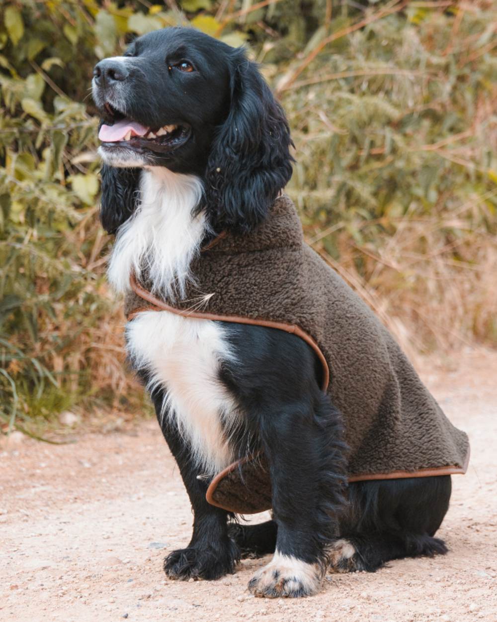 Dark Olive coloured Jack Pyke Sherpa Fleece Dog Coat on forest background 