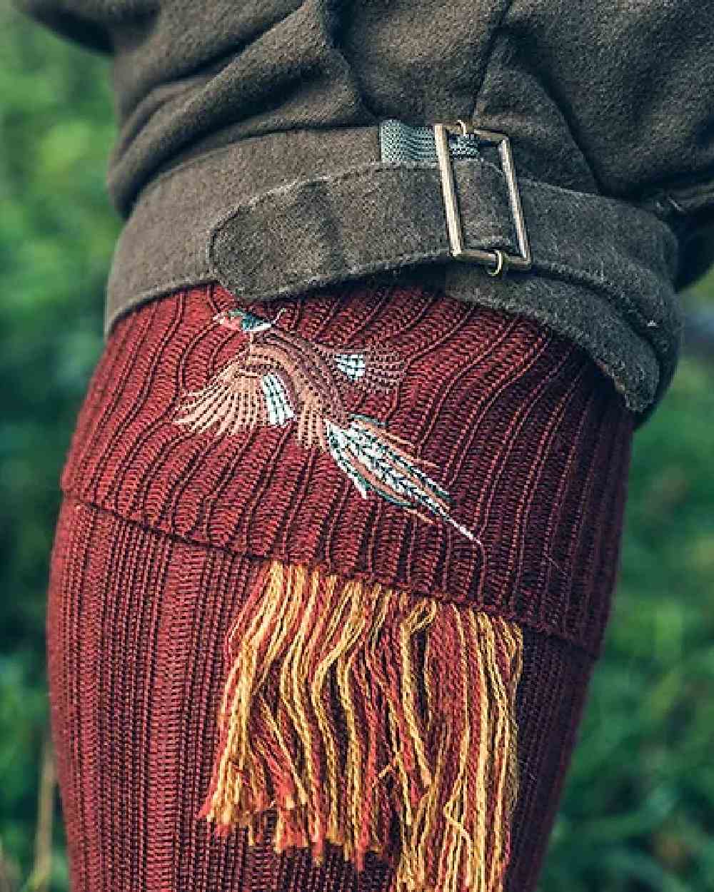 Burgundy coloured Jack Pyke Shooting Socks Pheasant on blurry background 