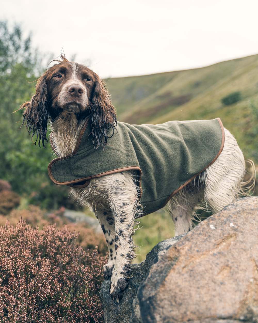 Jack Pyke Fleece Dog Coat in Light Olive 