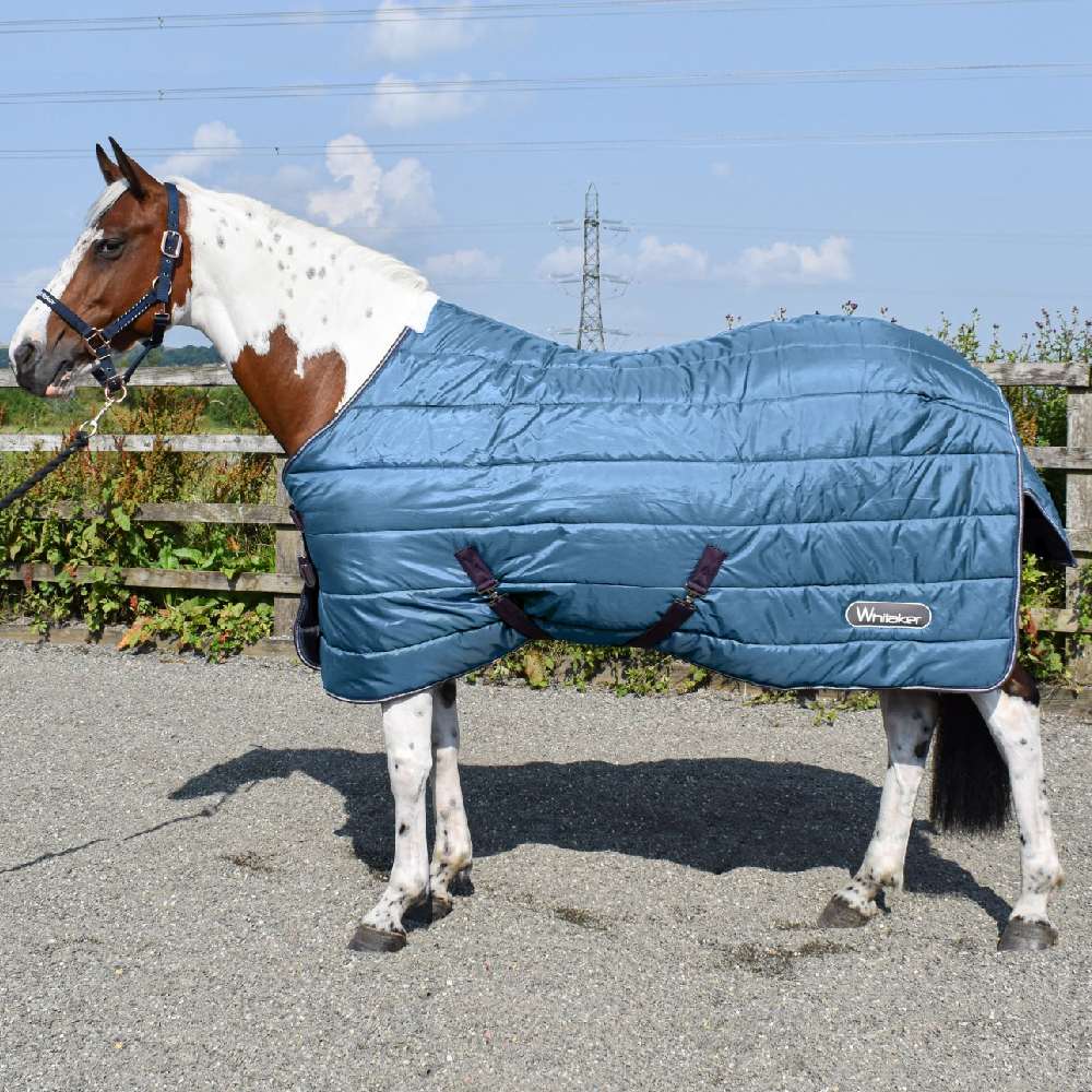 John Whitaker Lupin 200g Stable Rug in Teal