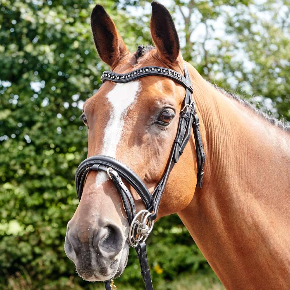 John Whitaker Lynton Flash Bridle With 2 Browbands In Black 