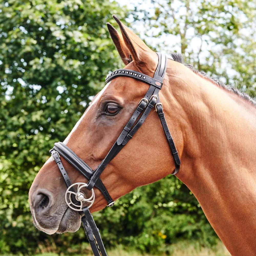 John Whitaker Lynton Flash Bridle With 2 Browbands In Black 