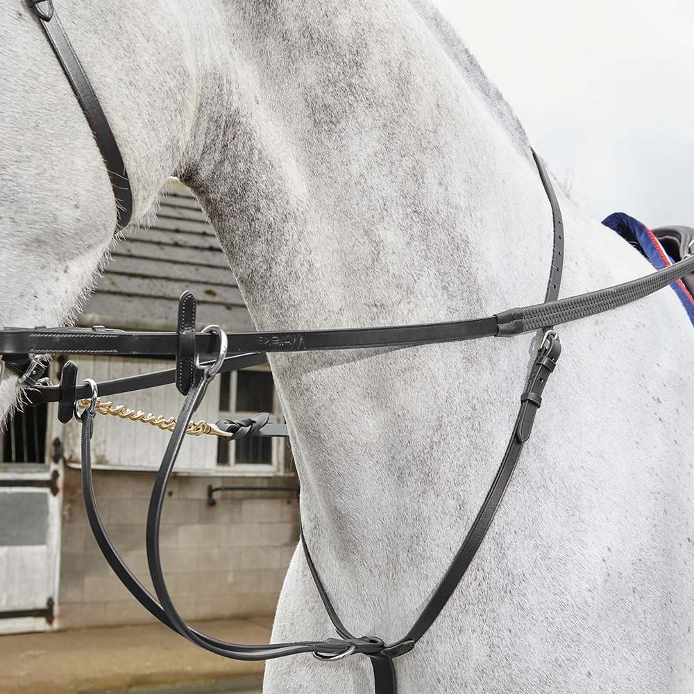 John Whitaker Lynton Running Martingale for Cob in Black