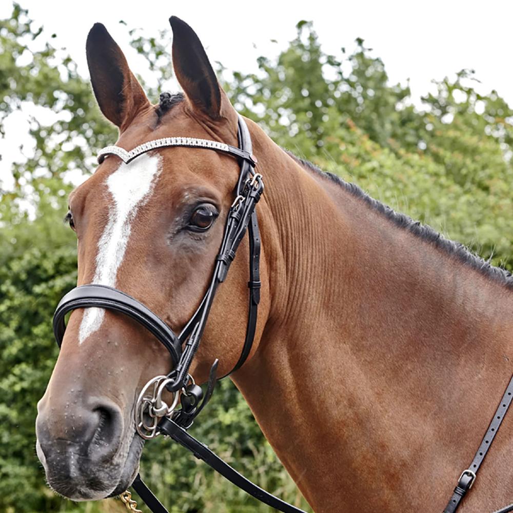 John Whitaker Lynton Snaffle Bridle With 2 Browbands In Black