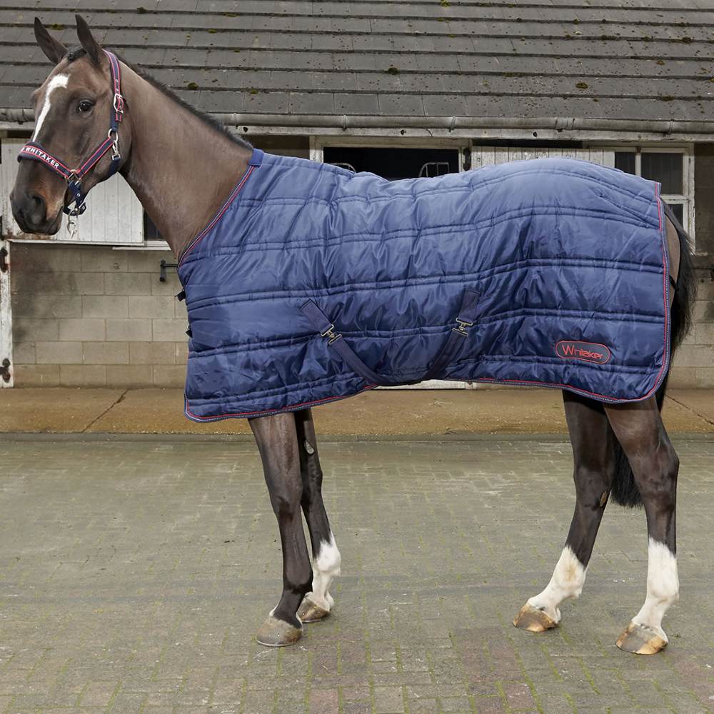 John Whitaker Rastrick 200g Stable Rug In Navy/Reflective