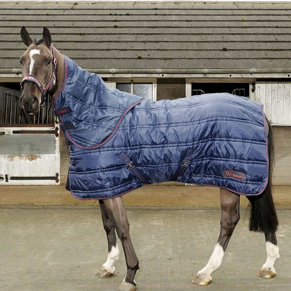 John Whitaker Rastrick 250g Combo Stable Rug In Navy/White