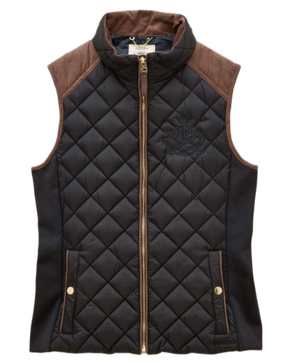 Navy coloured Joules Braemar Luxe Gilet on white background 
