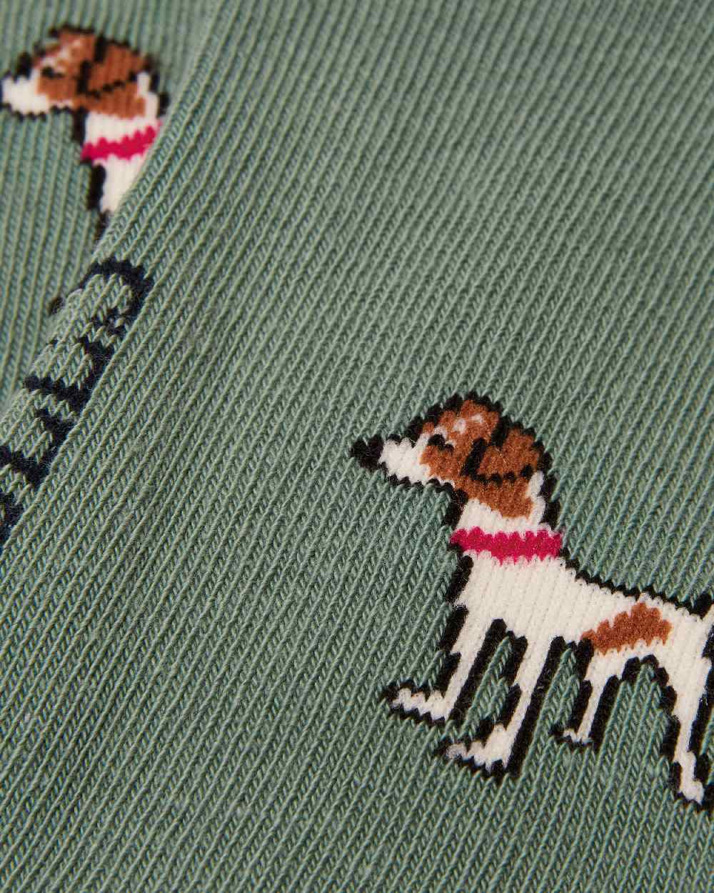 Green Blue Coloured Joules Everyday 2 Pack Socks on white background 