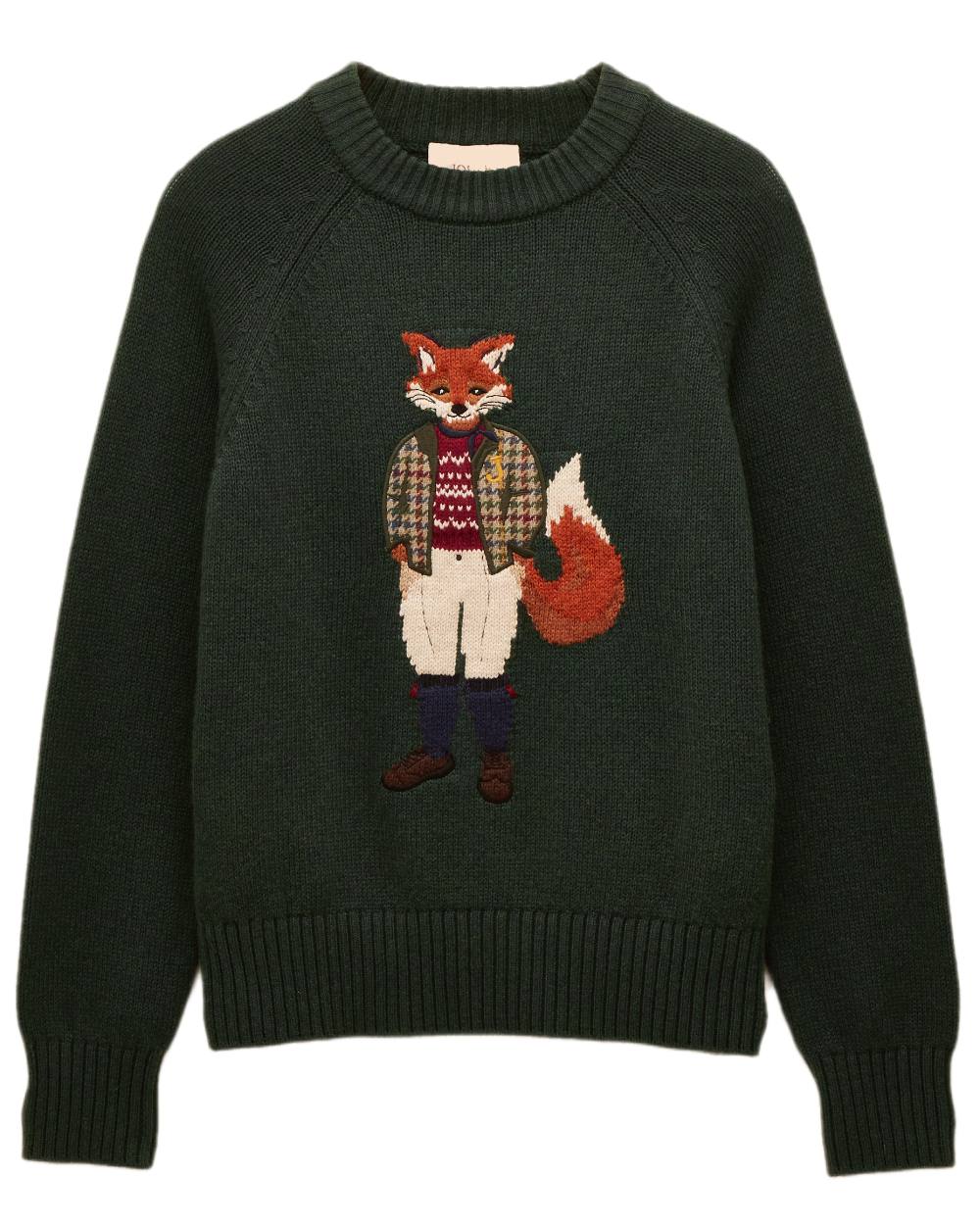 Green Coloured Joules Jonty Intarsia Knit Jumper on white background 