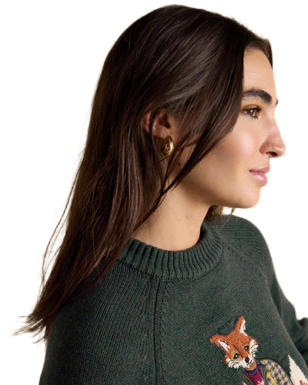 Green Coloured Joules Jonty Intarsia Knit Jumper on white background 