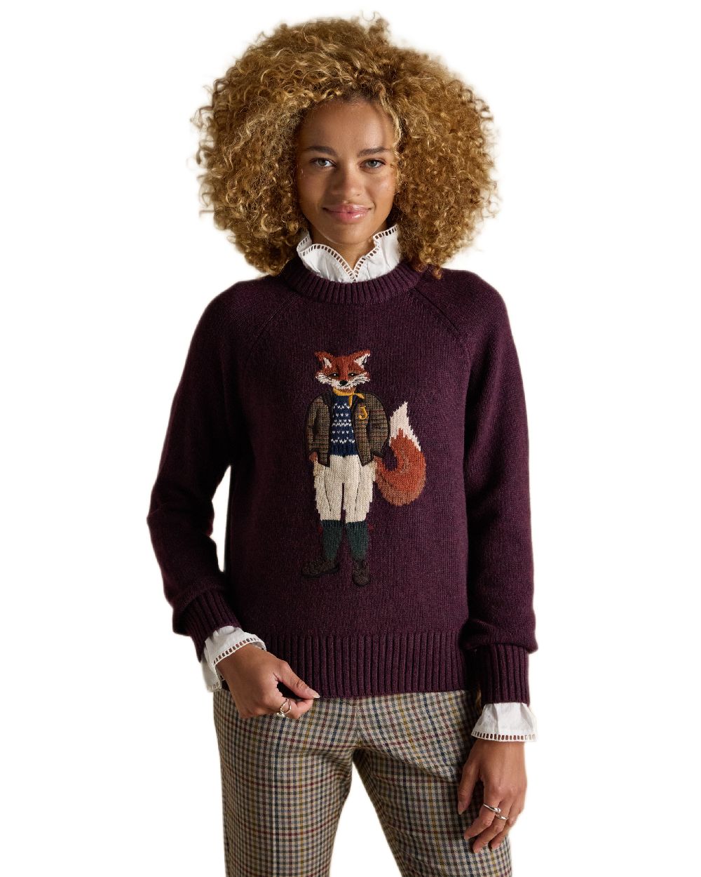 Wine Coloured Joules Jonty Intarsia Knit Jumper on white background 