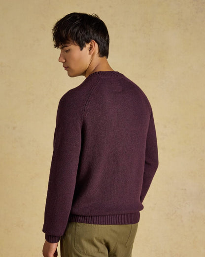 Purple Coloured Joules Mens Jonty Intarsia Crew Knit Jumper on beige background 