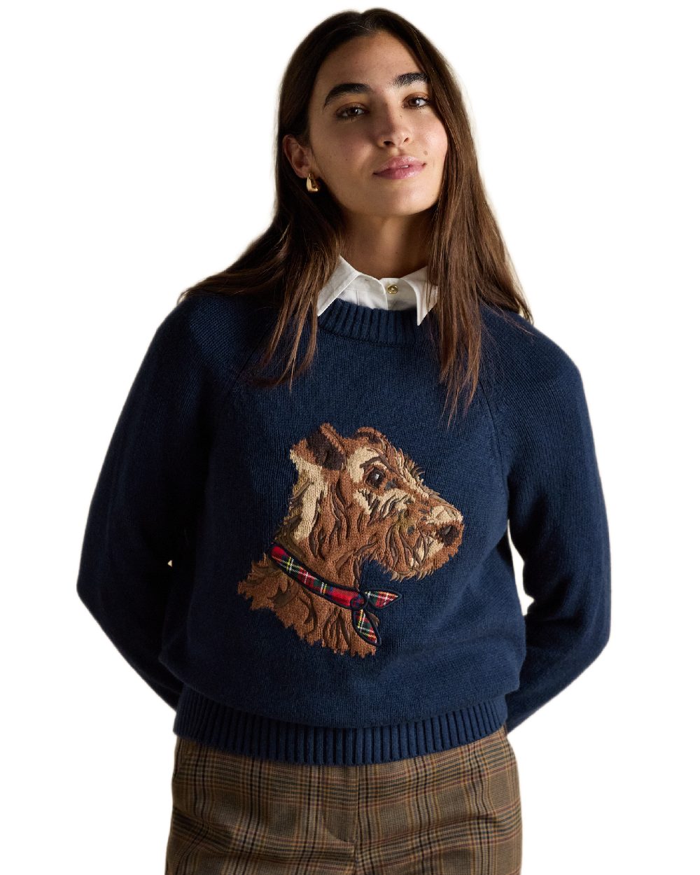Navy Coloured Joules Womens Monty Dog Jumper on white background 