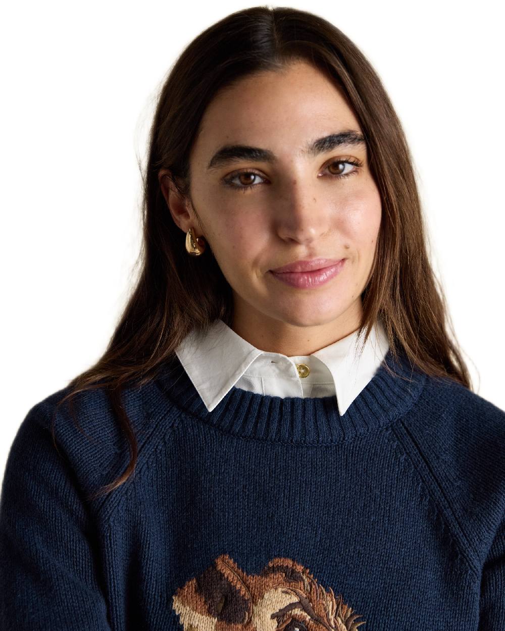 Navy Coloured Joules Womens Monty Dog Jumper on white background 