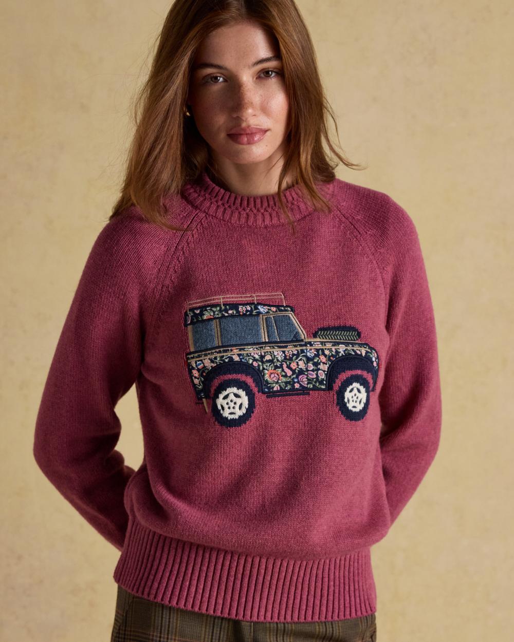 Pink coloured Joules Womens Rutland Intarsia Cotton Rich Knitted Jumper on wall background 