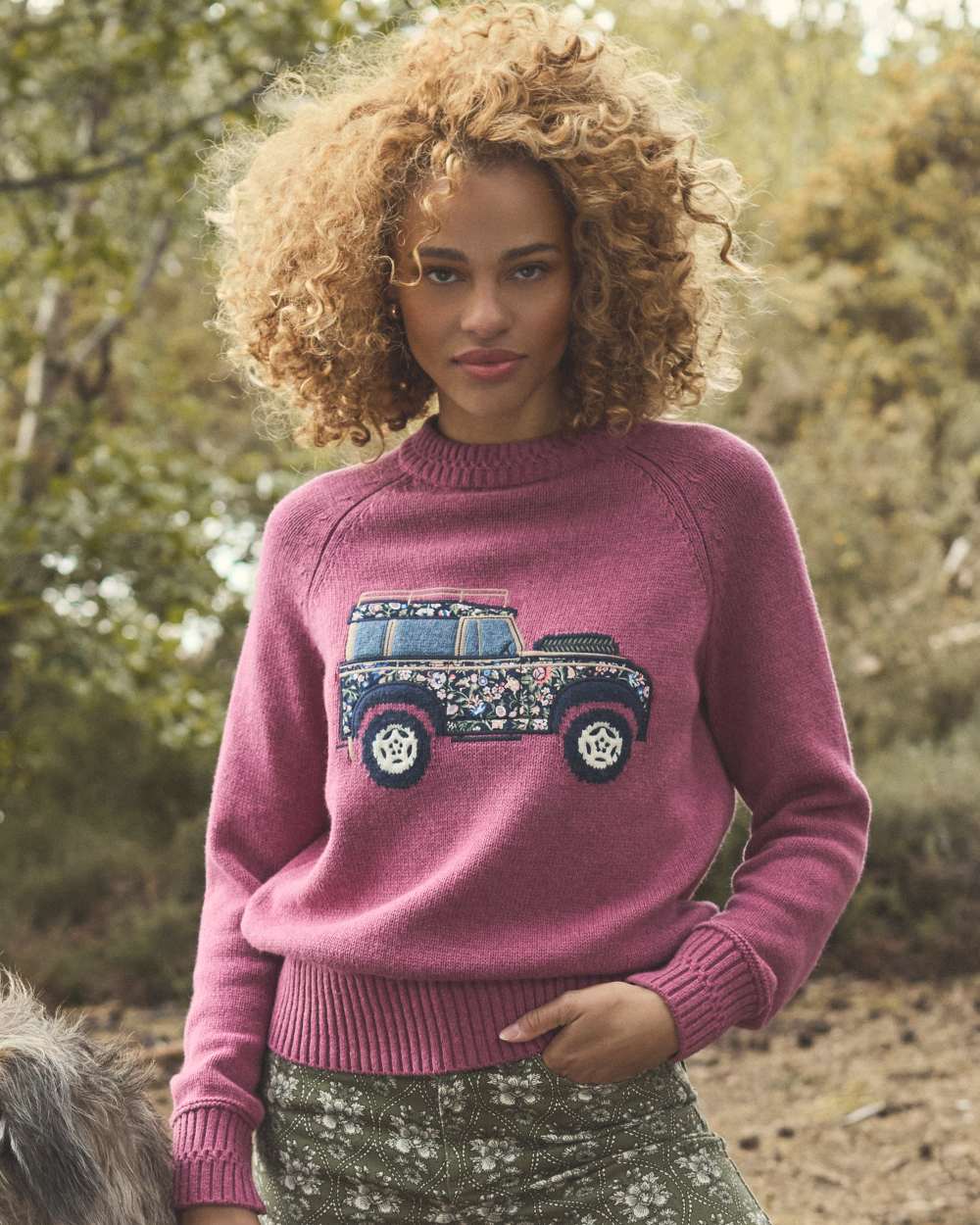 Pink coloured Joules Womens Rutland Intarsia Cotton Rich Knitted Jumper on forest background 