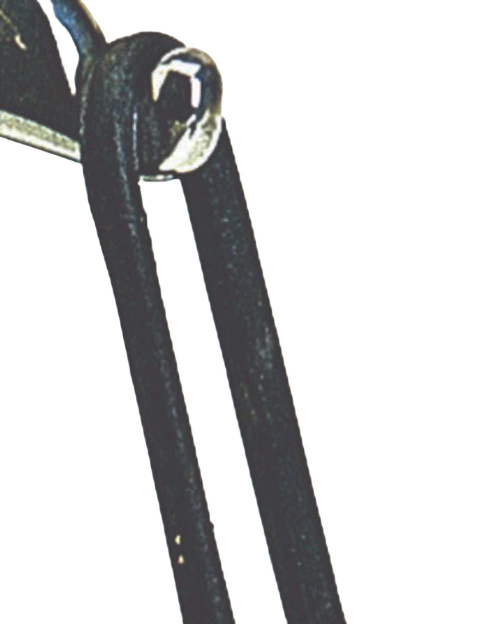 Black coloured Korsteel Peacock Stirrup Iron Spare Bands on white background 
