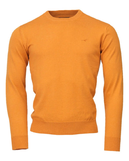 Sundown Coloured Laksen Mens Hardwick O-neck Sweater on white background 