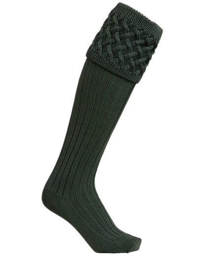 Forest Coloured Laksen Windsor Shooting Stockings on white background 