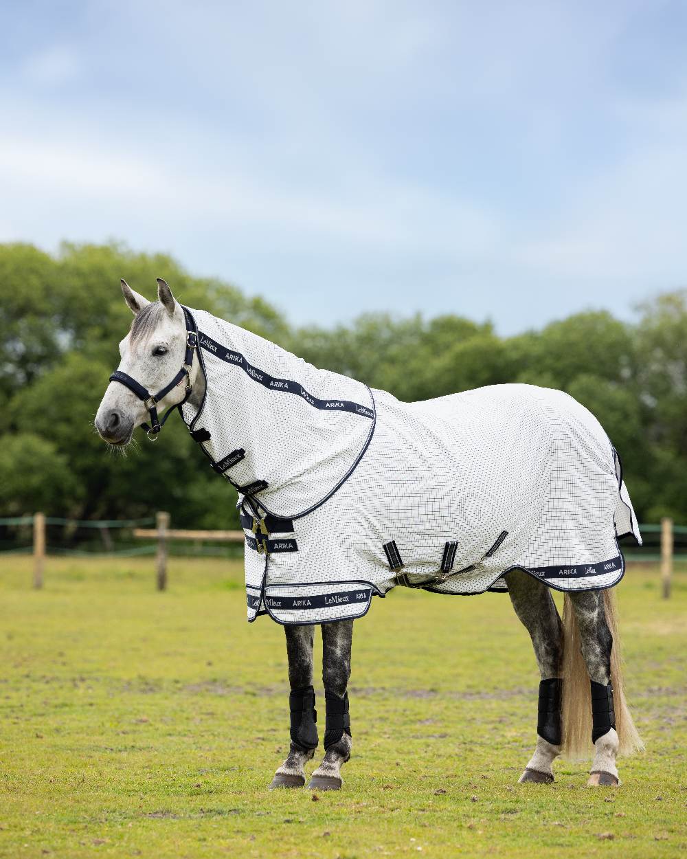 White coloured LeMieux Arika Field Rug on farm background 