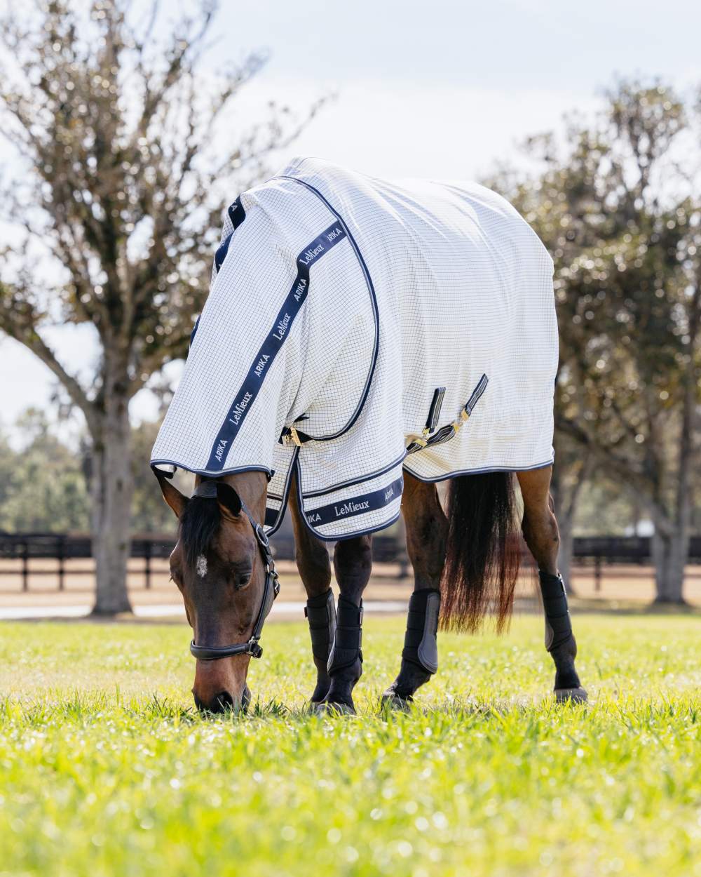 White coloured LeMieux Arika Field Rug on farm background 
