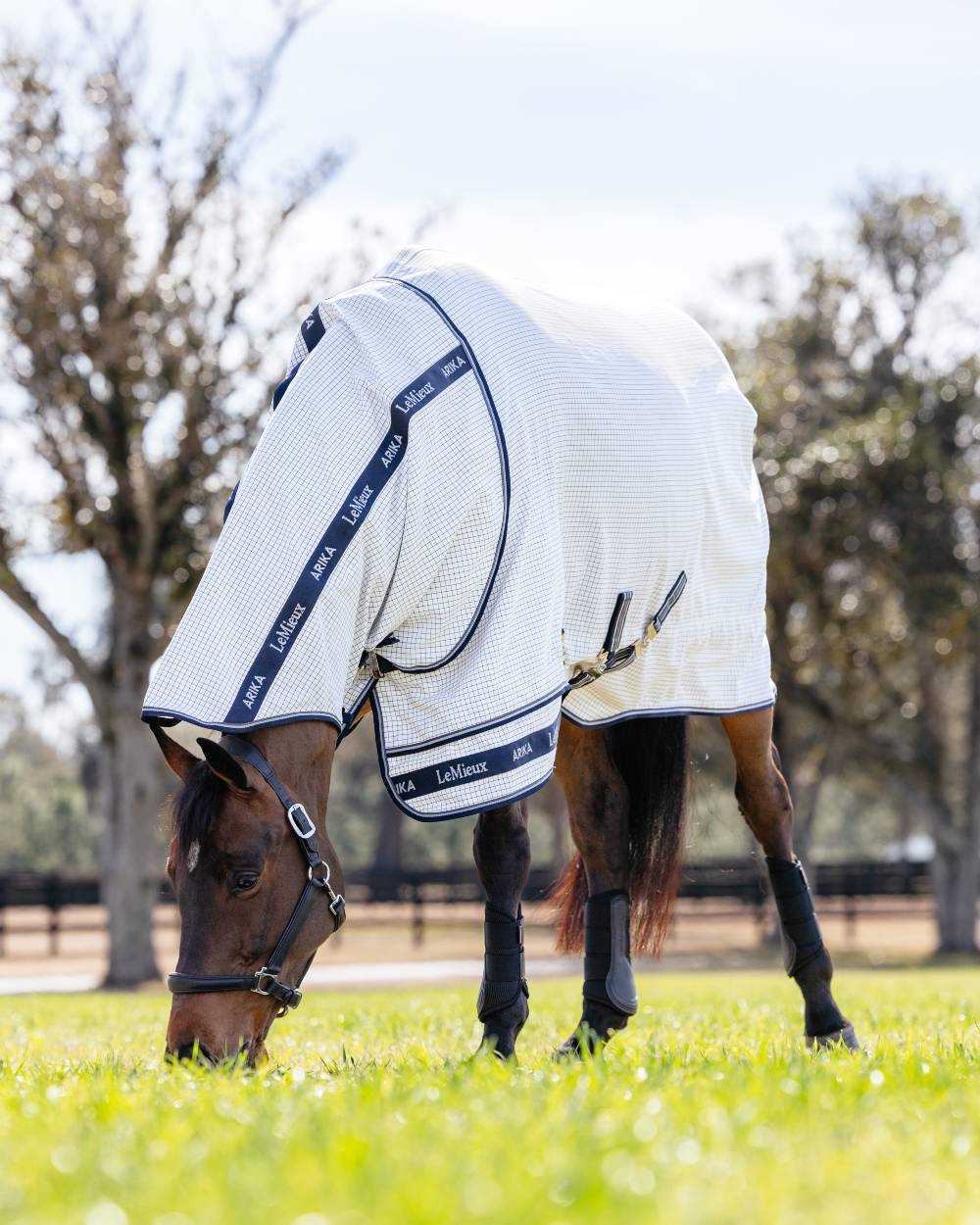 White coloured LeMieux Arika Field Rug on farm background 