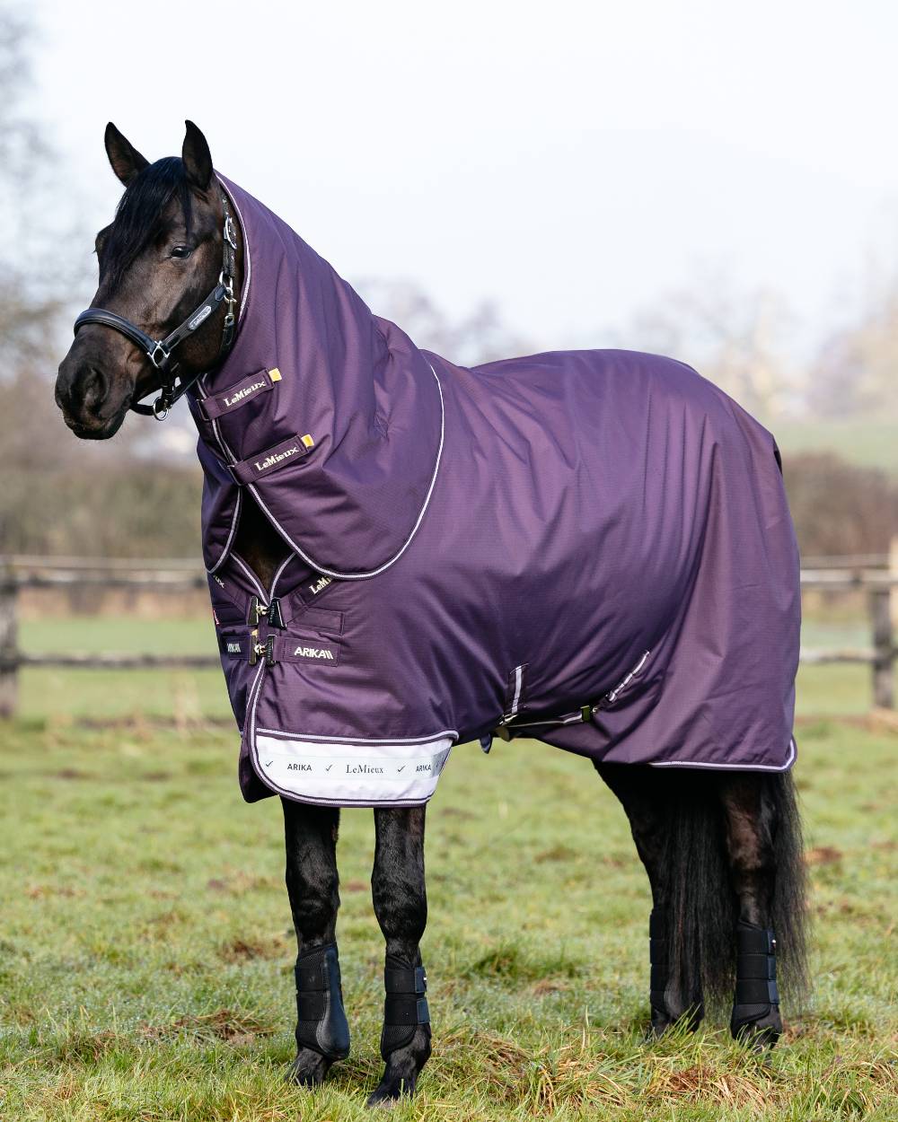 Juniper coloured LeMieux Arika Ripstop 100g Turnout Rug on grass background 