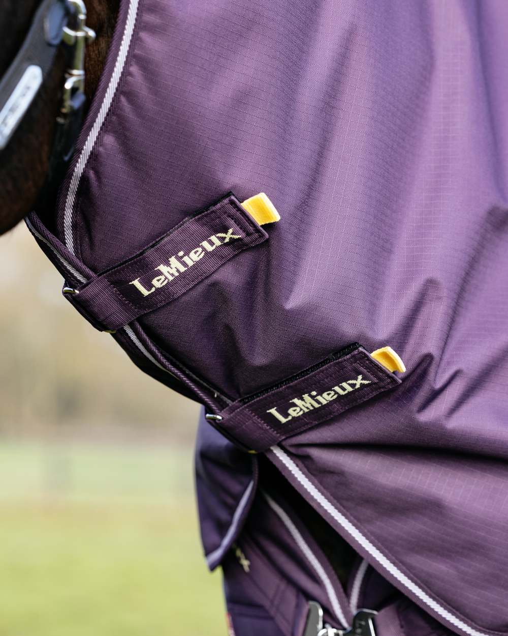 Juniper coloured LeMieux Arika Ripstop 100g Turnout Rug on grass background 