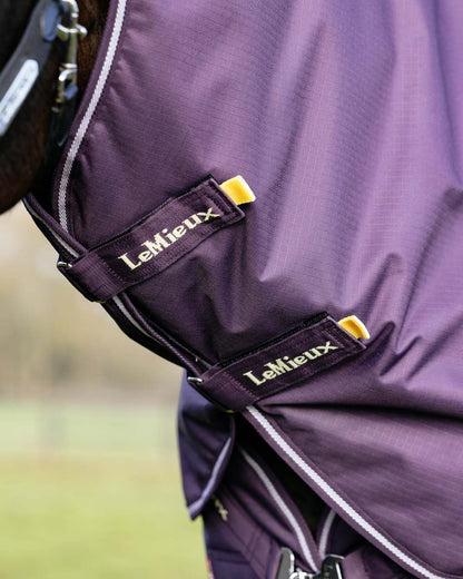 Juniper coloured LeMieux Arika Ripstop 100g Turnout Rug on grass background 