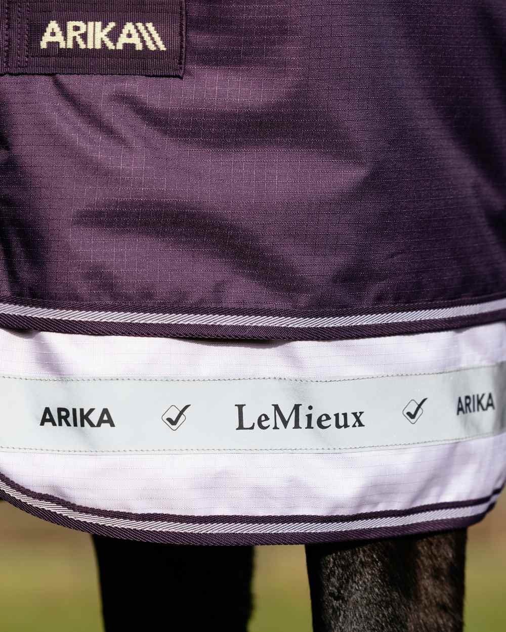Juniper coloured LeMieux Arika Ripstop 100g Turnout Rug on grass background 