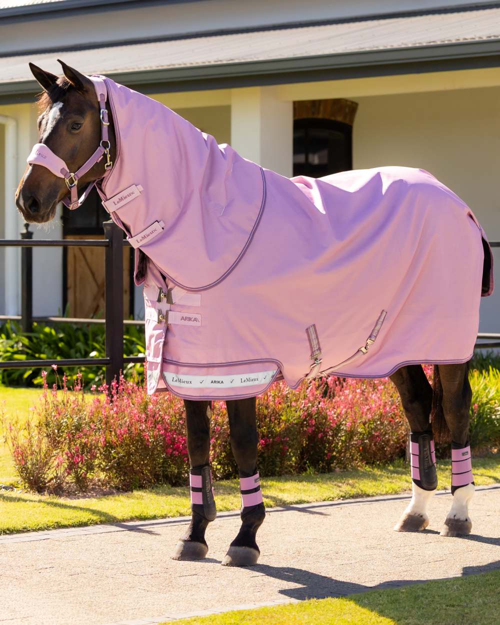 Fondant coloured LeMieux Arika Ripstop 50g Turnout Horse Rug on outdoor background 