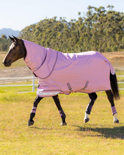 Fondant coloured LeMieux Arika Ripstop 50g Turnout Horse Rug on outdoor background 