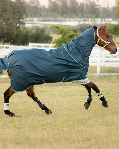Jungle coloured LeMieux Arika Ripstop 50g Turnout Horse Rug on grassy background 