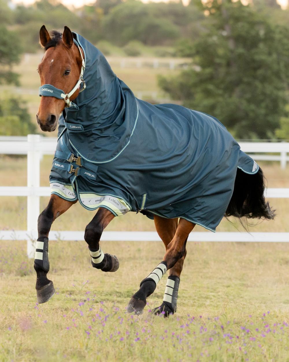 Jungle coloured LeMieux Arika Ripstop 50g Turnout Horse Rug on grassy background 