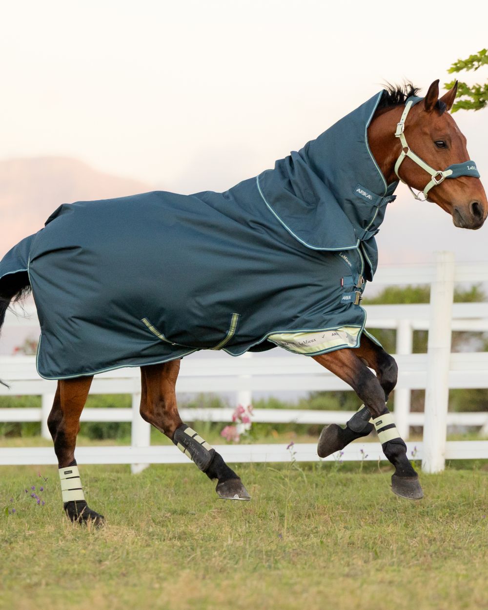 Jungle coloured LeMieux Arika Ripstop 50g Turnout Horse Rug on grassy background 