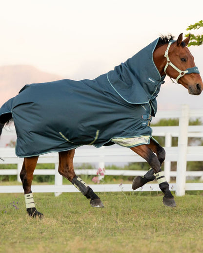 Jungle coloured LeMieux Arika Ripstop 50g Turnout Horse Rug on grassy background 